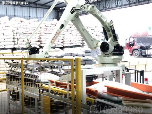 码垛机 后段包装物流自动化的核心引擎与技术创新前沿